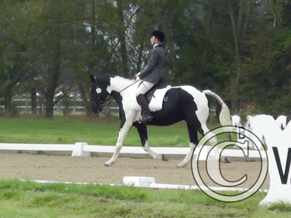 09-20-2014_085019(1)