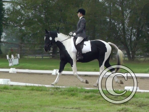 09-20-2014_085019(2)