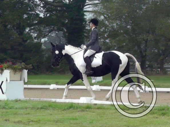 09-20-2014_085019(3)