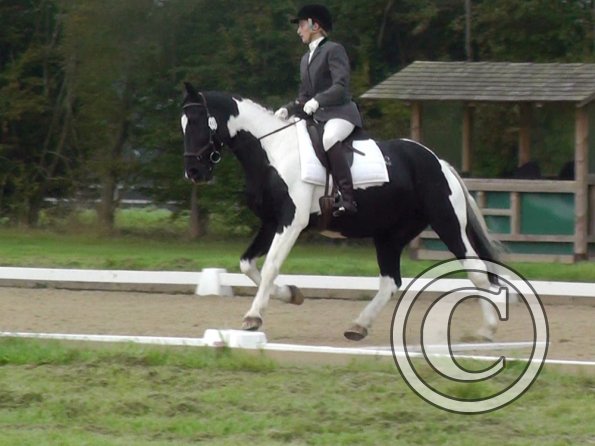 09-20-2014_085019(4)