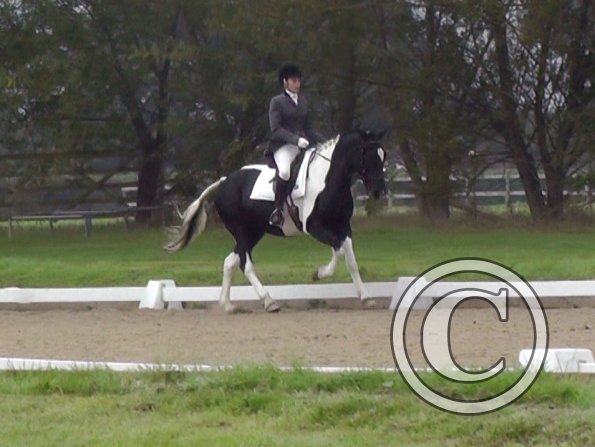 09-20-2014_085019(5)