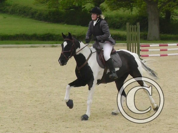 05-10-2015_115106(3)