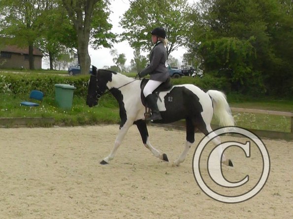 05-10-2015_123226(1)