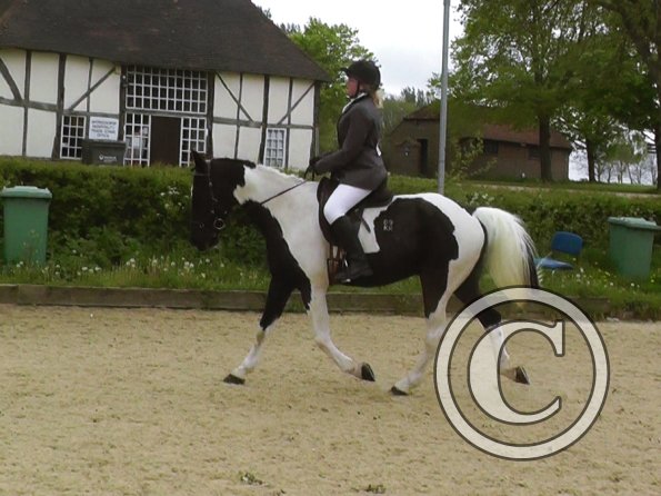 05-10-2015_123226(3)