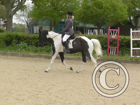 05-10-2015_123226(4)