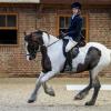 Lance's return to dressage