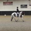Dressage 22 Jan 01