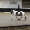 Dressage 22 Jan 03