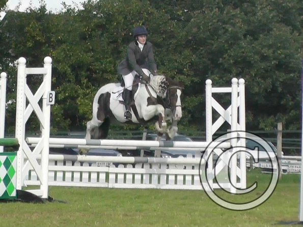 10-06-2013_122136(2)