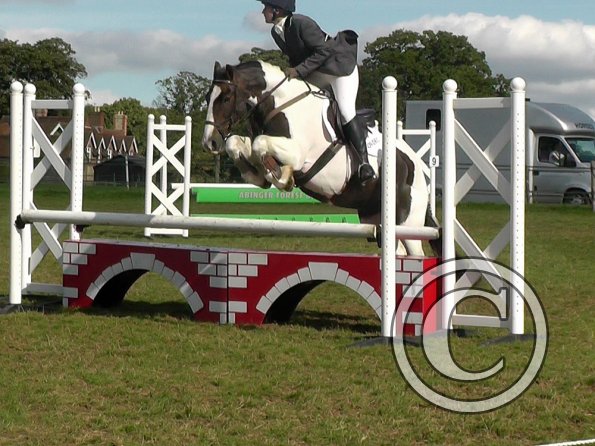 10-06-2013_122136(3)