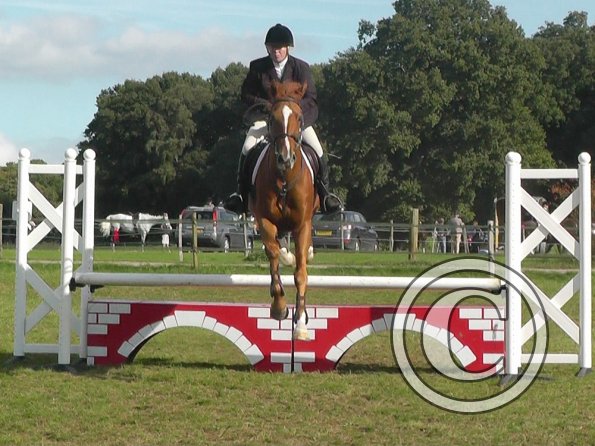 10-06-2013_130155(1)