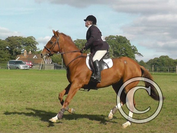 10-06-2013_130155(2)