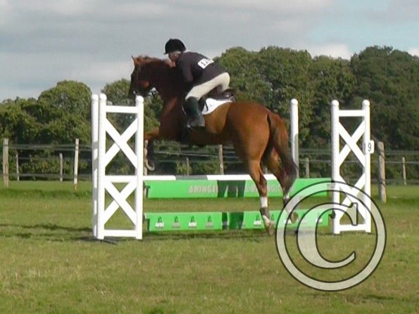 10-06-2013_130155(3)