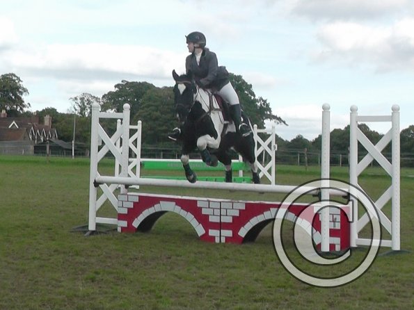 10-06-2013_134131(1)