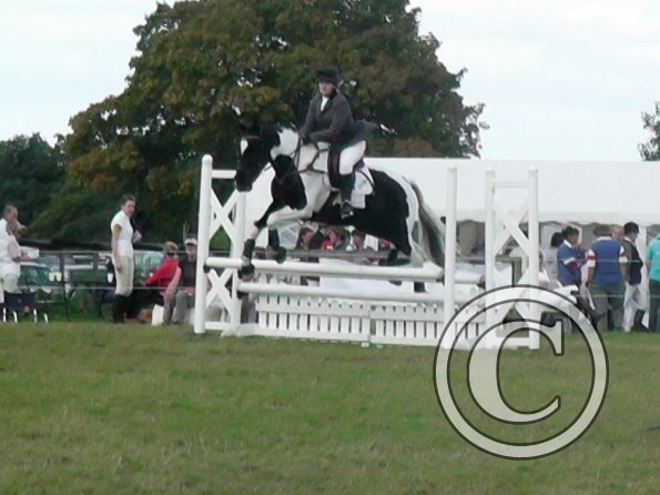 10-06-2013_134131(2)