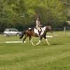Dressage 1