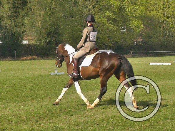 Dressage 2