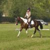Dressage 3