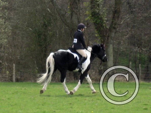 JD coloured showing (2)