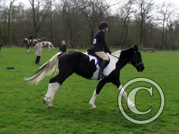 JD coloured showing (3)