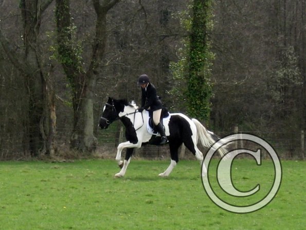 JD coloured showing (4)