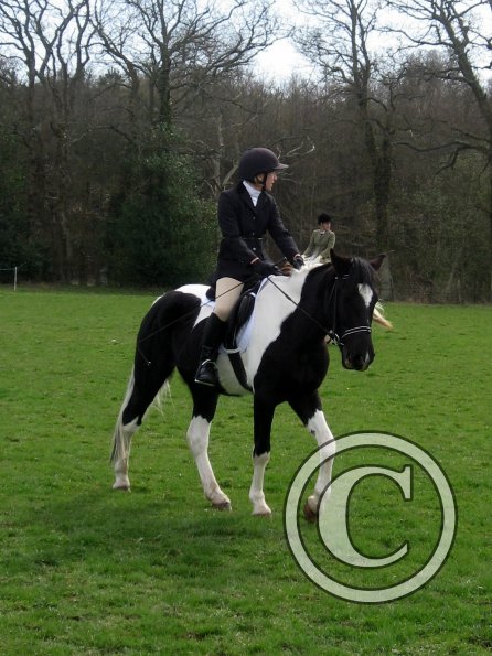 JD coloured showing (5)