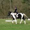 JD dressage (2)