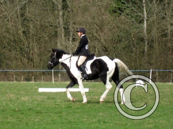 JD dressage (2)