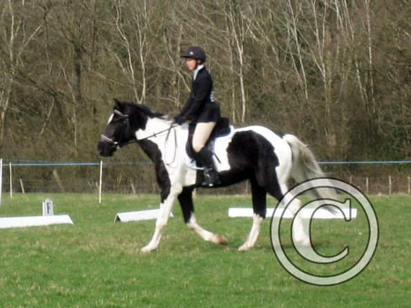 JD dressage (3)