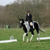 JD dressage (4)