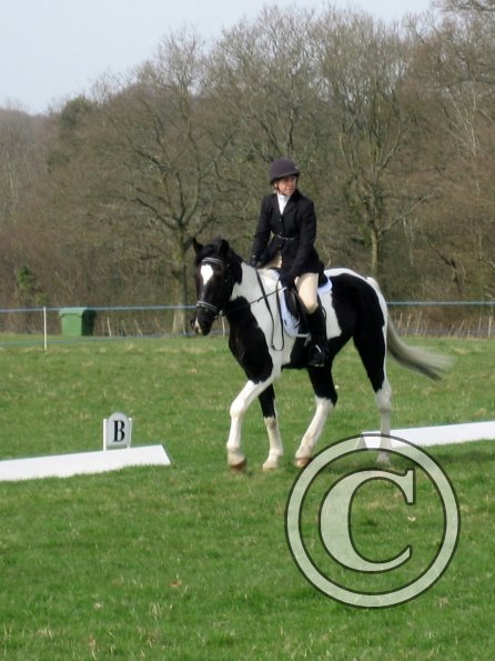 JD dressage (4)