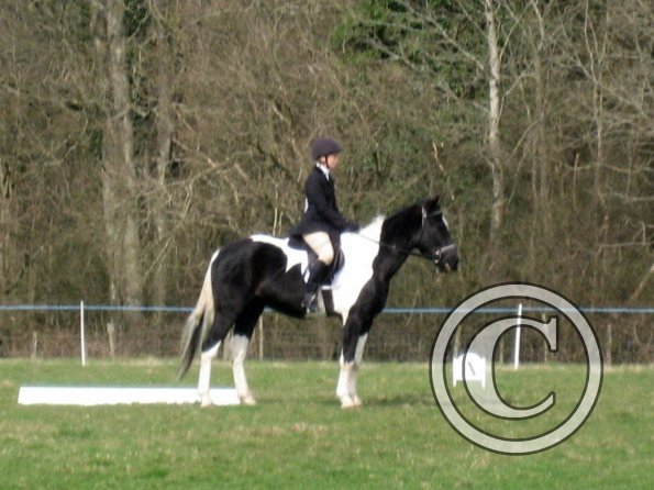 JD dressage (5)