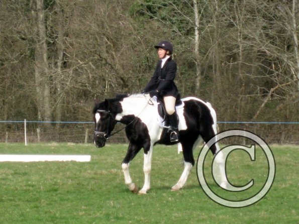 JD dressage (6)