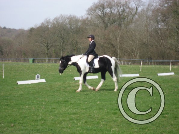 JD dressage (7)