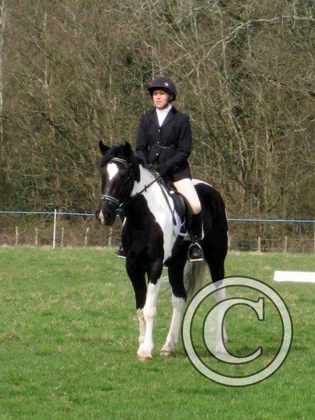 JD dressage (8)