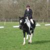 JD dressage (9)