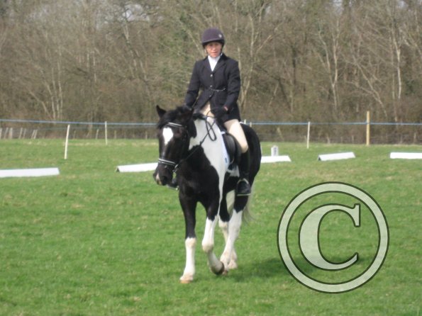 JD dressage (9)