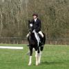 JD dressage
