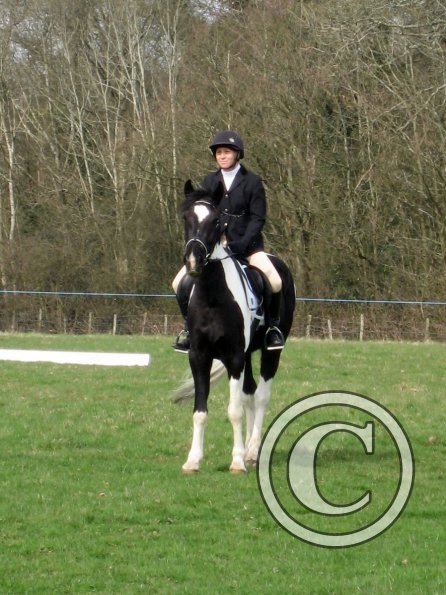 JD dressage