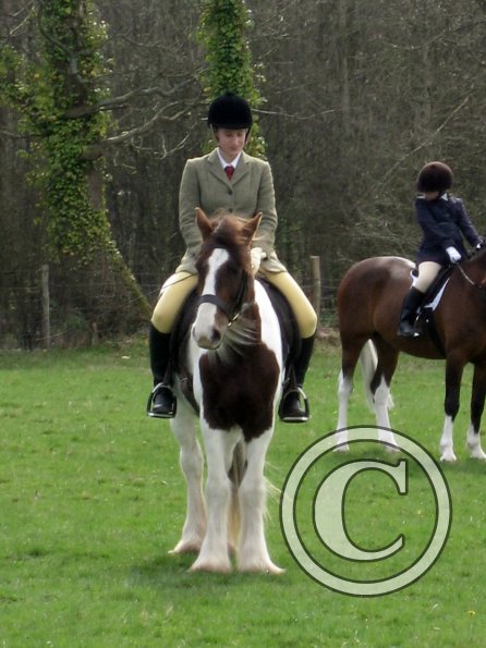 Lance coloured showing (4)