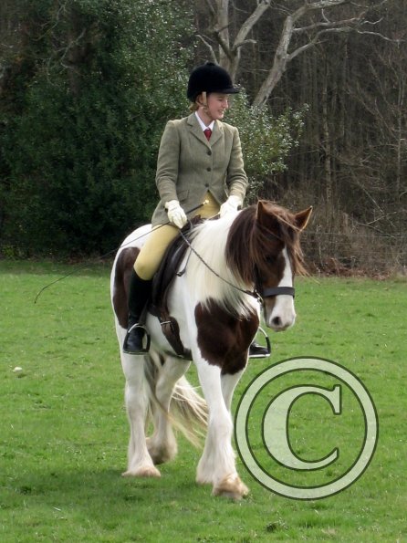 Lance coloured showing (9)