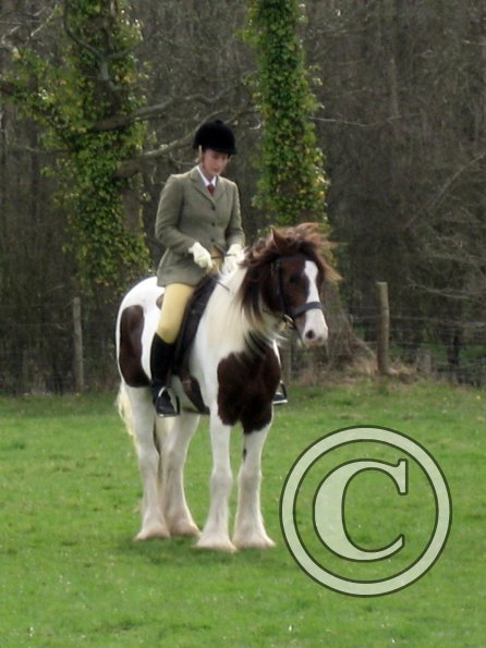 Lance coloured showing