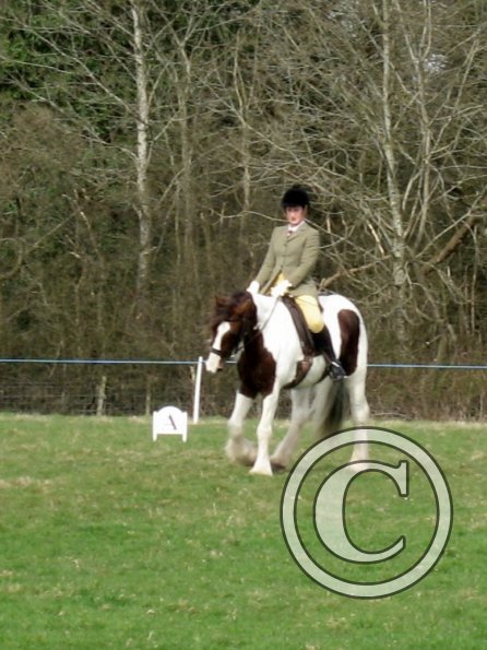Lance dressage (10)