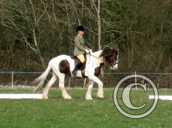 Lance dressage (11)