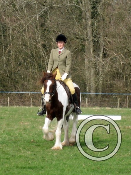 Lance dressage (3)
