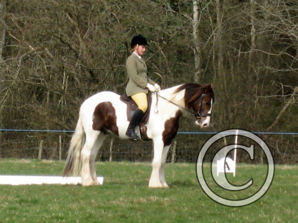 Lance dressage (4)