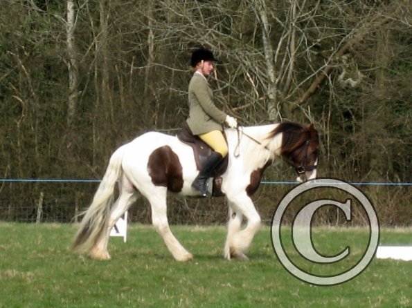 Lance dressage (5)