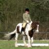 Lance dressage (6)
