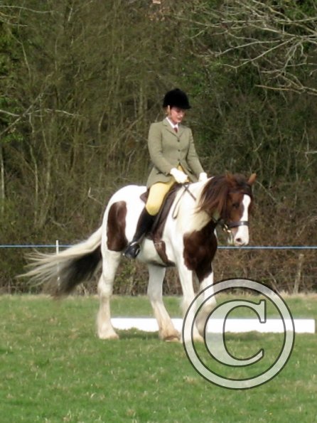 Lance dressage (6)