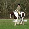 Lance dressage (7)